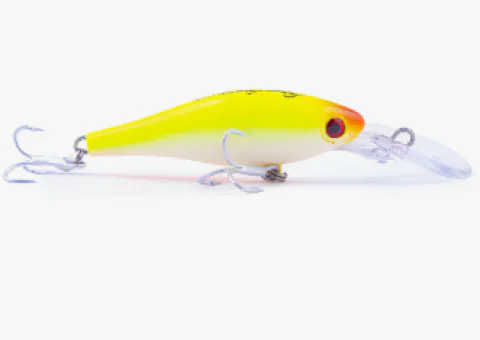 Isca Nelson Nakamura Mago 60